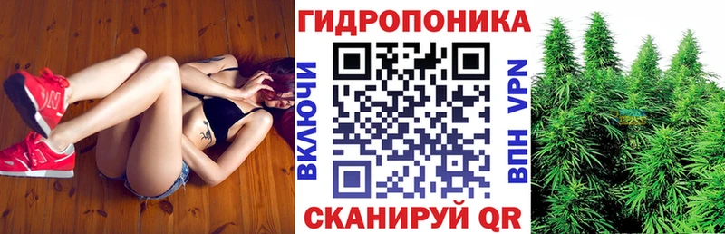 Купить закладку ГАШИШ Кокаин Alpha-PVP Мефедрон Белая Холуница