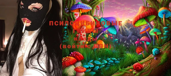 соль ск Кинешма