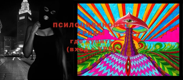 винт Козельск