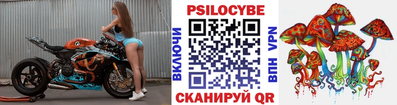 Купить где  Белая Холуница  Галлюциногенные грибы Cubensis 